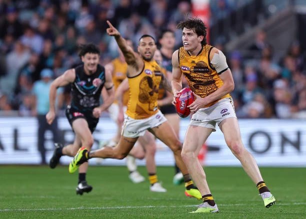 Will Day ready to drive Hawthorn forward - Photo by Sarah Reed via AFL Photos